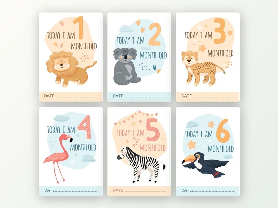 Milestone cards baby Engels, 12 stuks A5 (jungledieren)