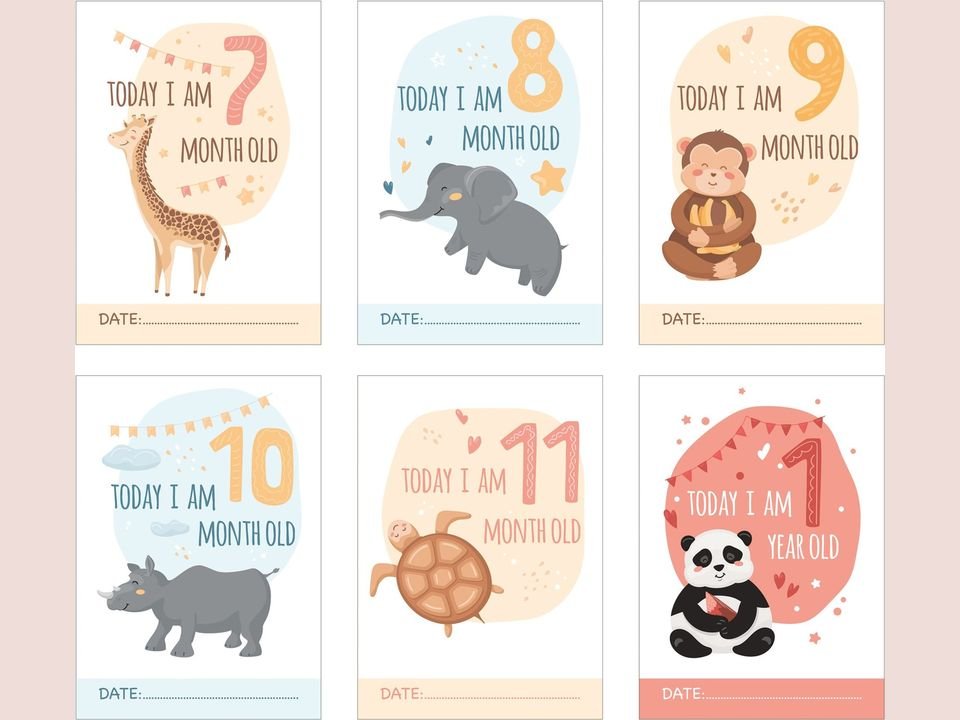 Milestone cards baby Engels, 12 stuks A5 (jungledieren), foto 4