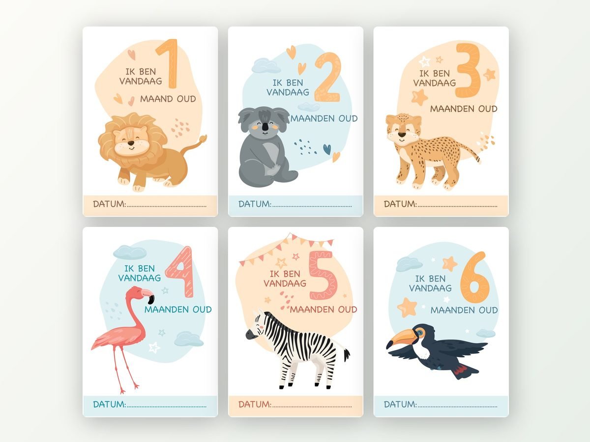 Milestone kaarten baby, 12 stuks A5 (jungledieren)