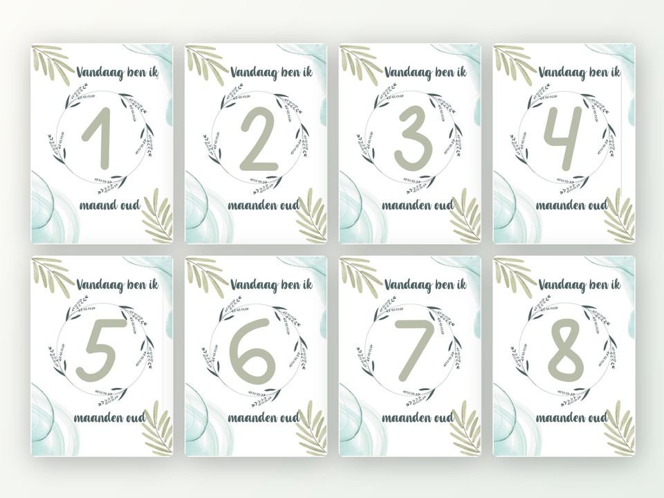 Milestone kaarten baby, 24 stuks A5 (eucalyptus)