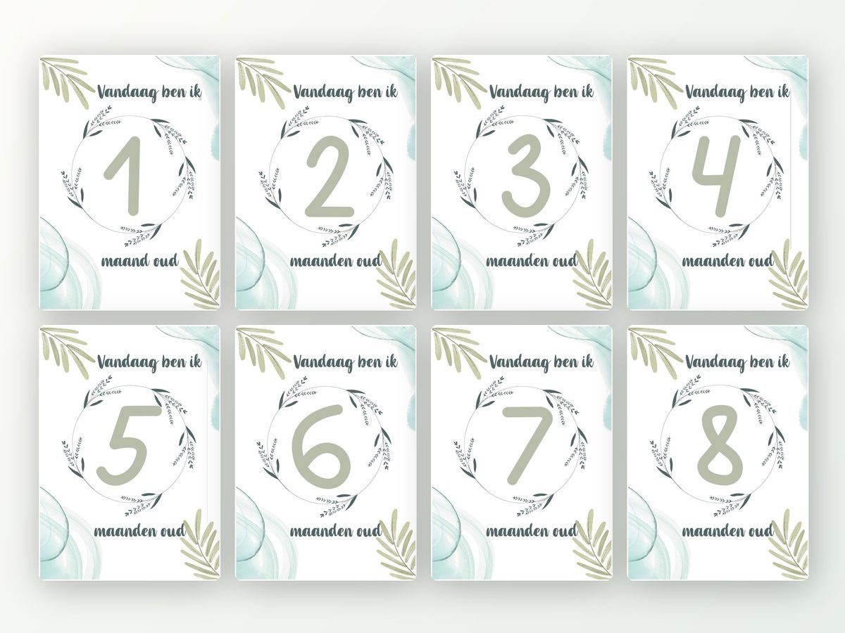Milestone kaarten baby, 24 stuks A5 (eucalyptus)