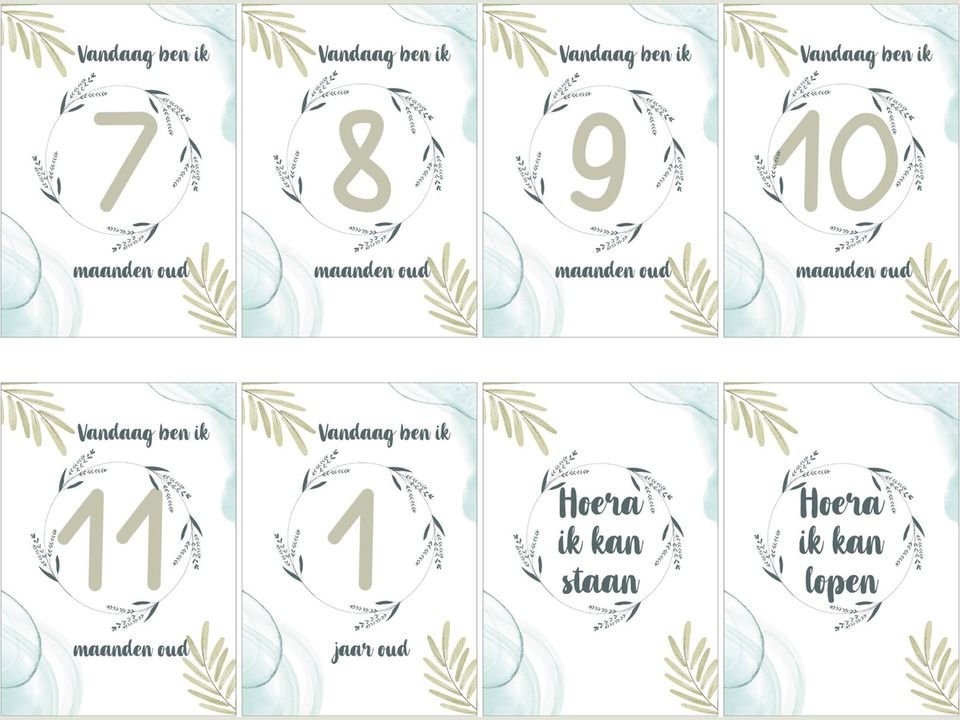 Milestone kaarten baby, 24 stuks A5 (eucalyptus), foto 5