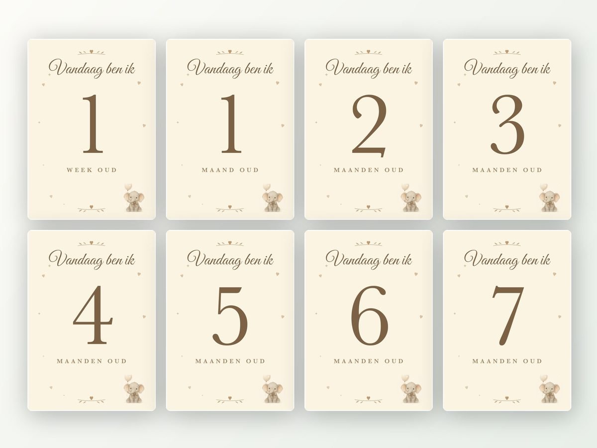 Milestone kaarten baby, 24 stuks A5 (olifantje met ballon)